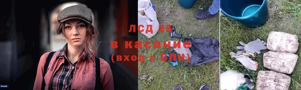 индика Алексин