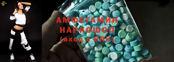 индика Алексин