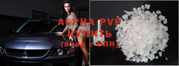 индика Алексин