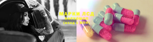 индика Алексин