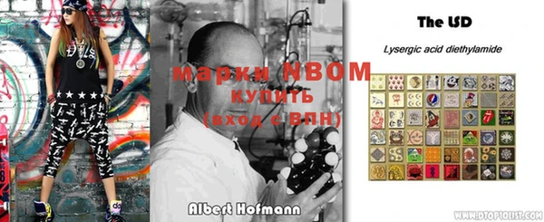 индика Алексин