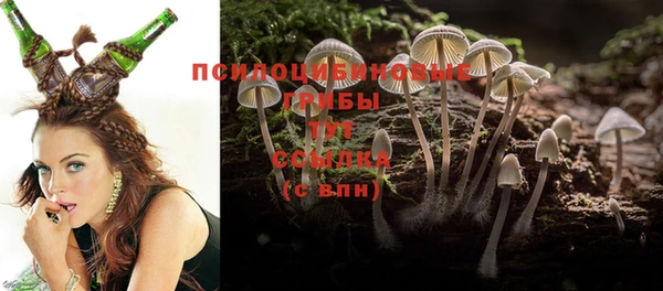 индика Алексин