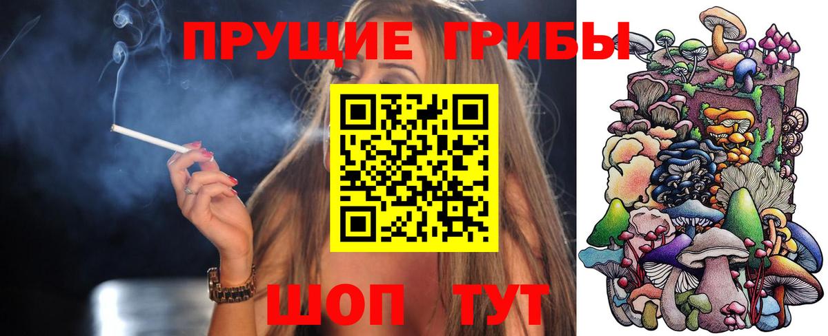 Псилоцибиновые грибы Cubensis Красногорск