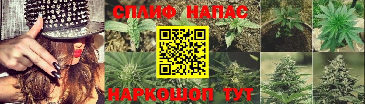 Красногорск  Марихуана OG Kush  Канабис OG Kush  Вход с VPN 